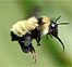 Uh Oh. We’ve Got Wasps: Links And Post Roundup