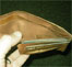Thumbnail image for 10 Attributes Of The Perpetually Broke