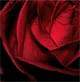 Valentine's Day