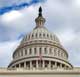 How Much Control Should The Government Have?
