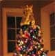 Christmas without debt