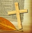 Bible Verses About How To Get Rich Quick