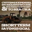 Cutting Expenses, Increasing Income And Staying On Budget To Reach A Short Term Savings Goal