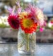 Find the Bright Side And Watch Your Life Satisfaction Improve