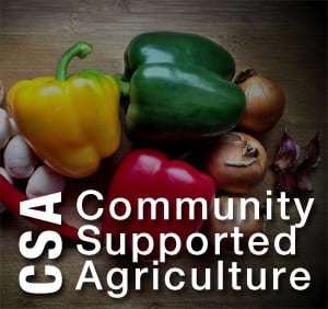 community supported agriculture csa