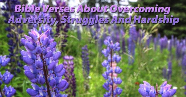 bible verses about struggle