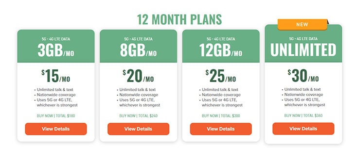 Mint Mobile Review 2024: A Closer Look at the Unrivaled Budget Phone Plans - Mint Mobile 6-month Plans